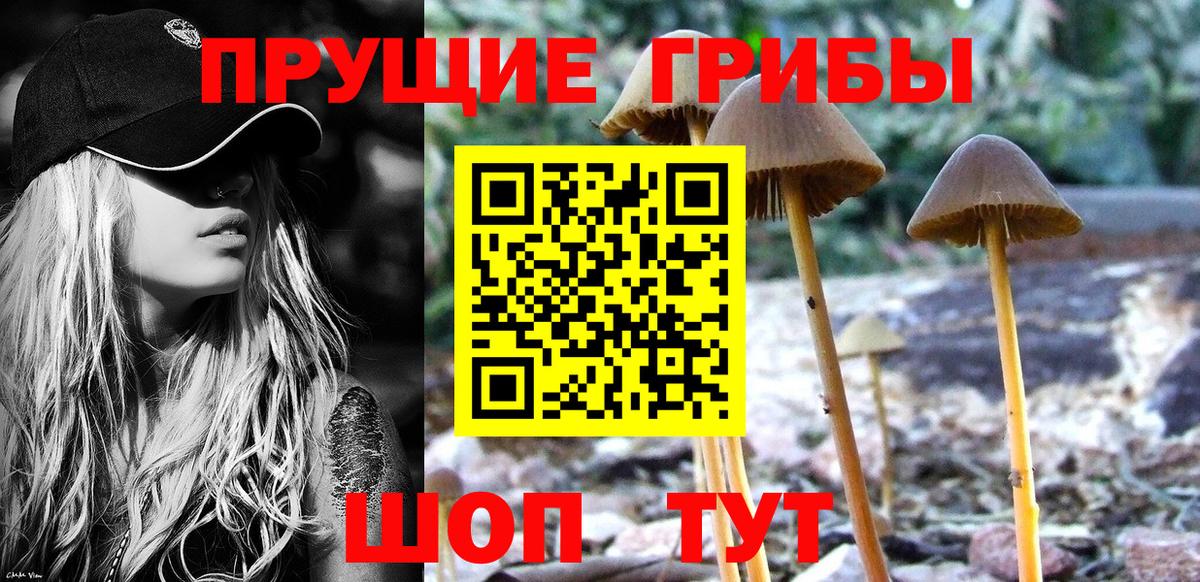 Галлюциногенные грибы MAGIC MUSHROOMS Обь